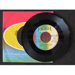 Ribelli Di Adriano ‎– Chi...